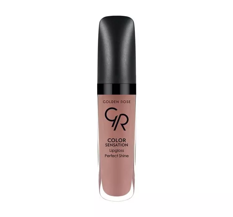 Golden Rose COLOR SENSATION LIPGLOSS BŁYSZCZYK DO UST 108