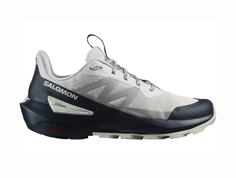 Męskie buty outdoorowe Salomon  ELIXIR ACTIV Glacier Gray/Carbon/Slate Green  UK 10,5