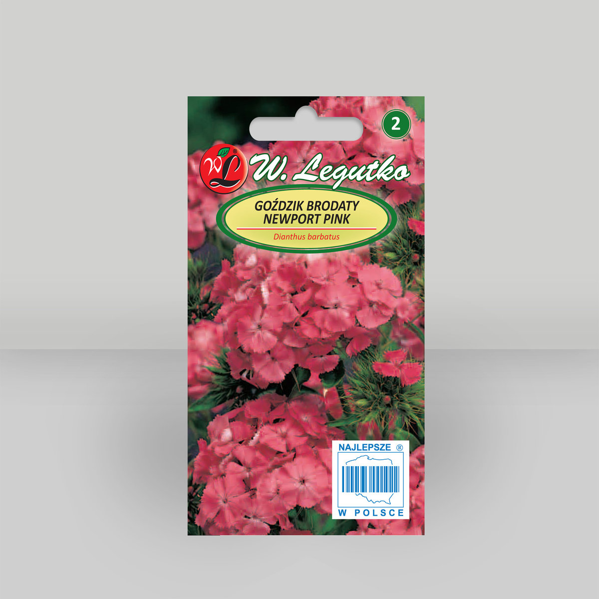 Goździk brodaty Newport Pink Różowy 0,5g - Nasiona - W. Legutko