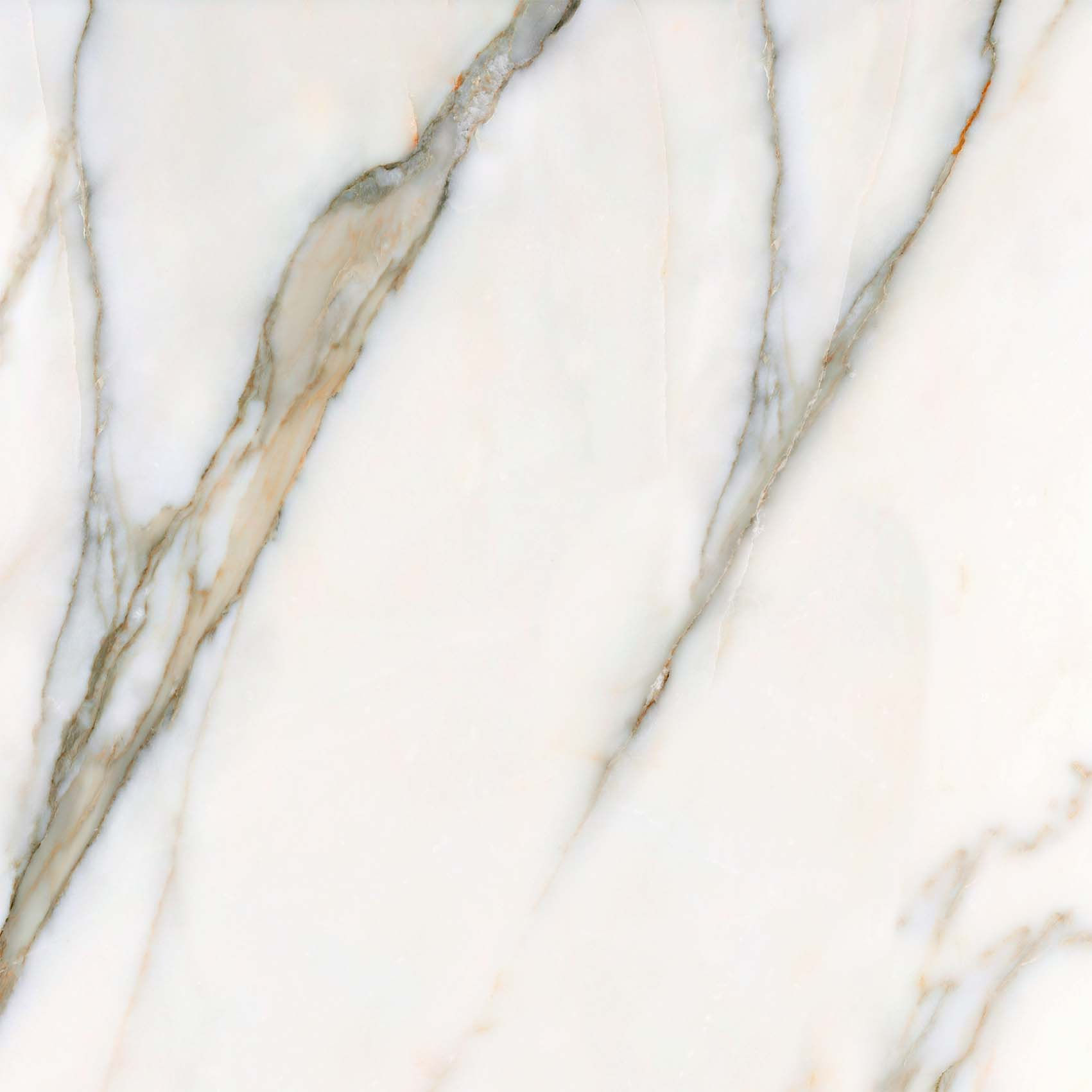 Gres Borgini gold satin rectified 59,8x59,8 Cersanit