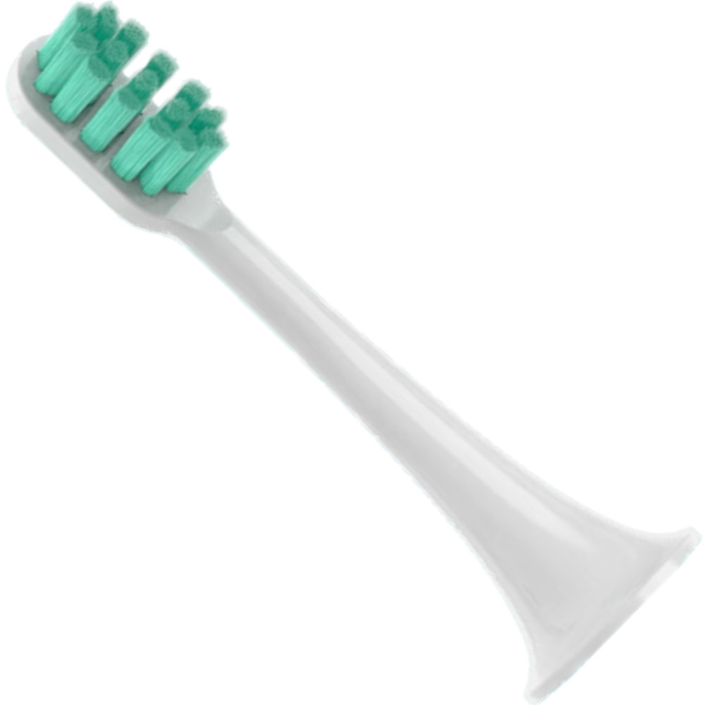 Końcówka do szczoteczki sonicznej Mi Electric Toothbrush Head Regular - Reptila