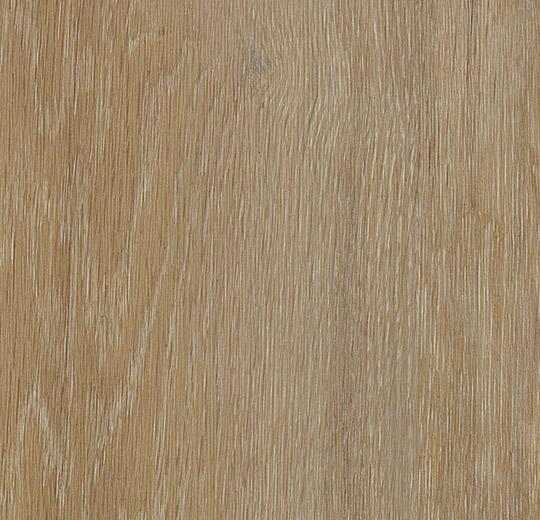 Panel winylowy Forbo DR3 Golden Oak