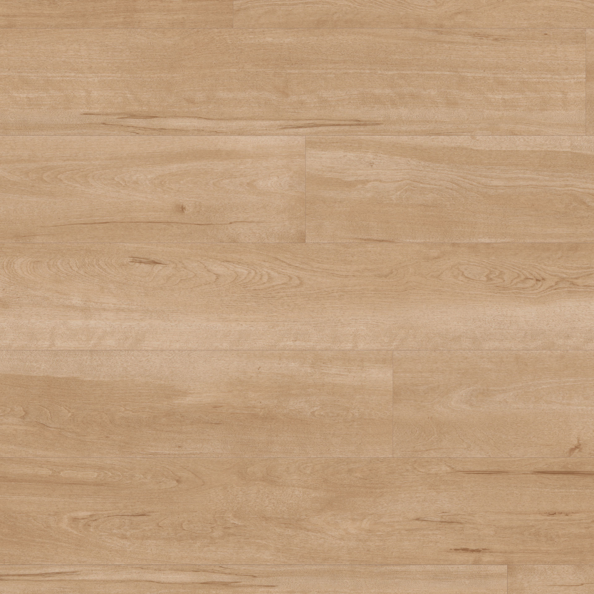 Panele winylowe Designflooring 55 Birch