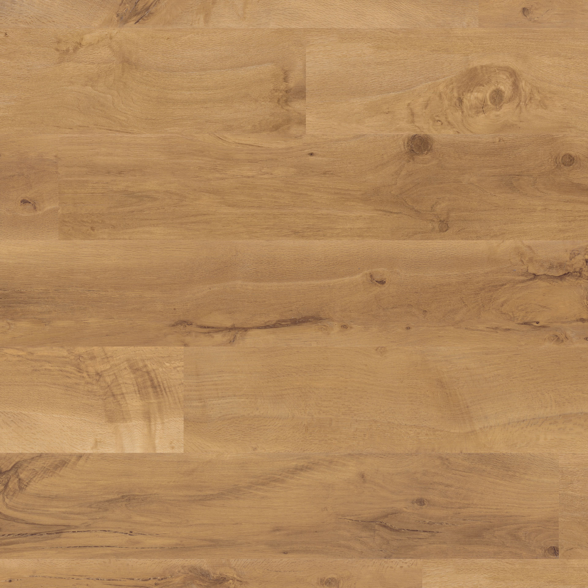 Panele winylowe Designflooring 55 Auckland Oak