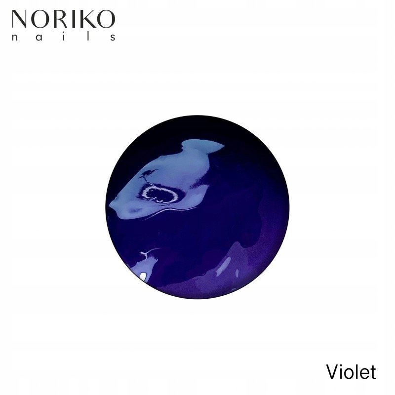 Żel do zdobień Noriko Paint Gel Violet 5g