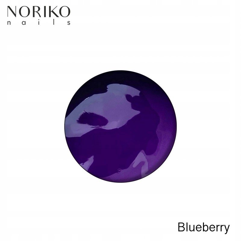 Żel do zdobień Noriko Paint Gel Blueberry 5g