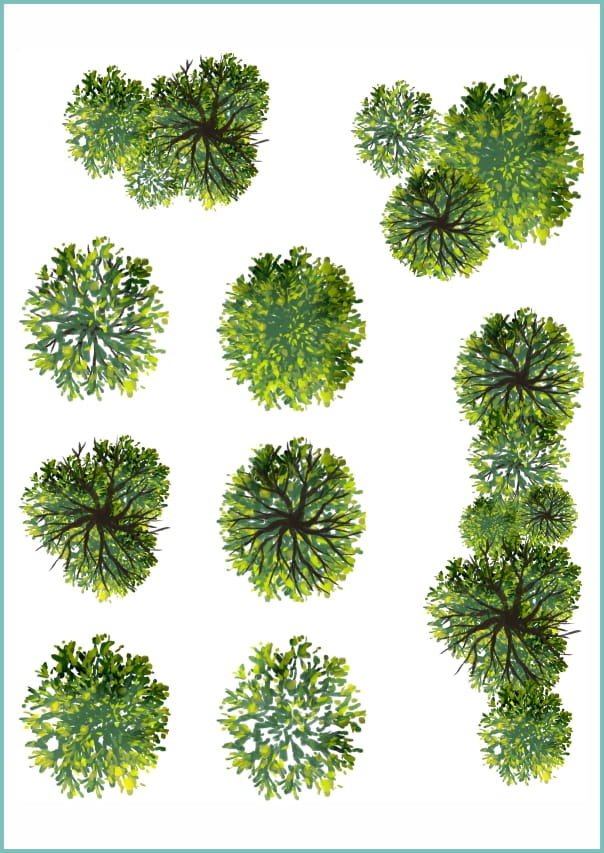 Tatuaże zmywalne, tymczasowe, green tree top view