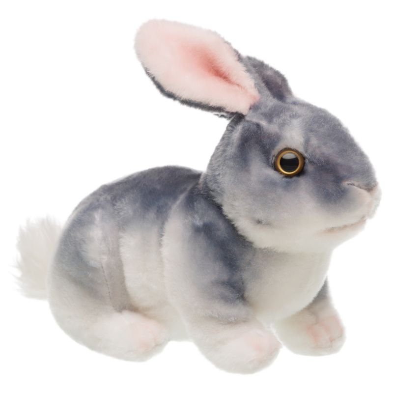 Chinchilla, Królik Naturalistyczny