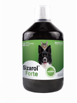 Фото - Ліки й вітаміни Forte BIOVICO sizarol complex  500ml 