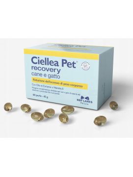 ILOVET Ciellea Pet cane e gatto 60 kapsułek