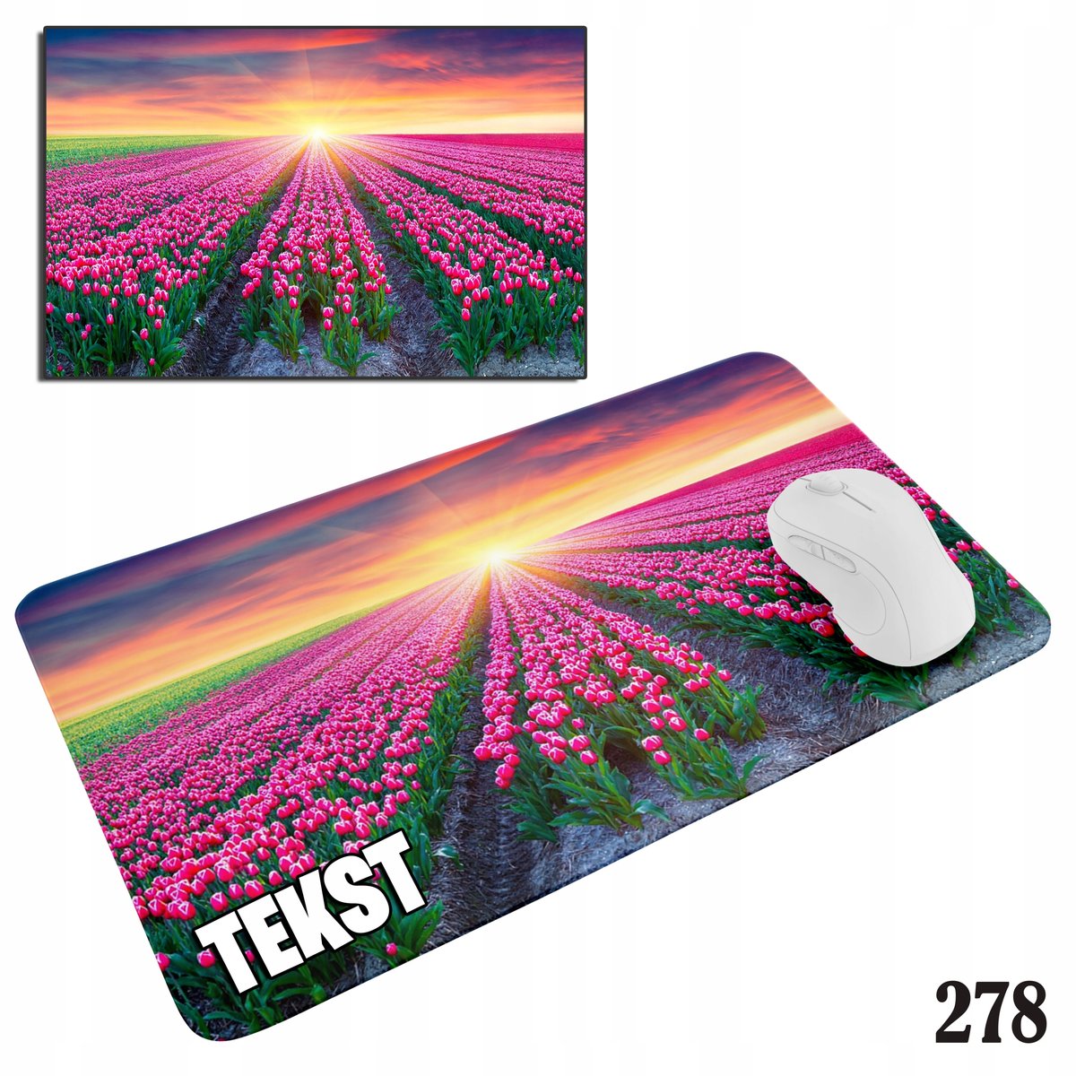 PODKŁADKA POD MYSZKĘ MYSZ WZORY DO WYBORU - MOTYLKI KWIATY 20x24cm