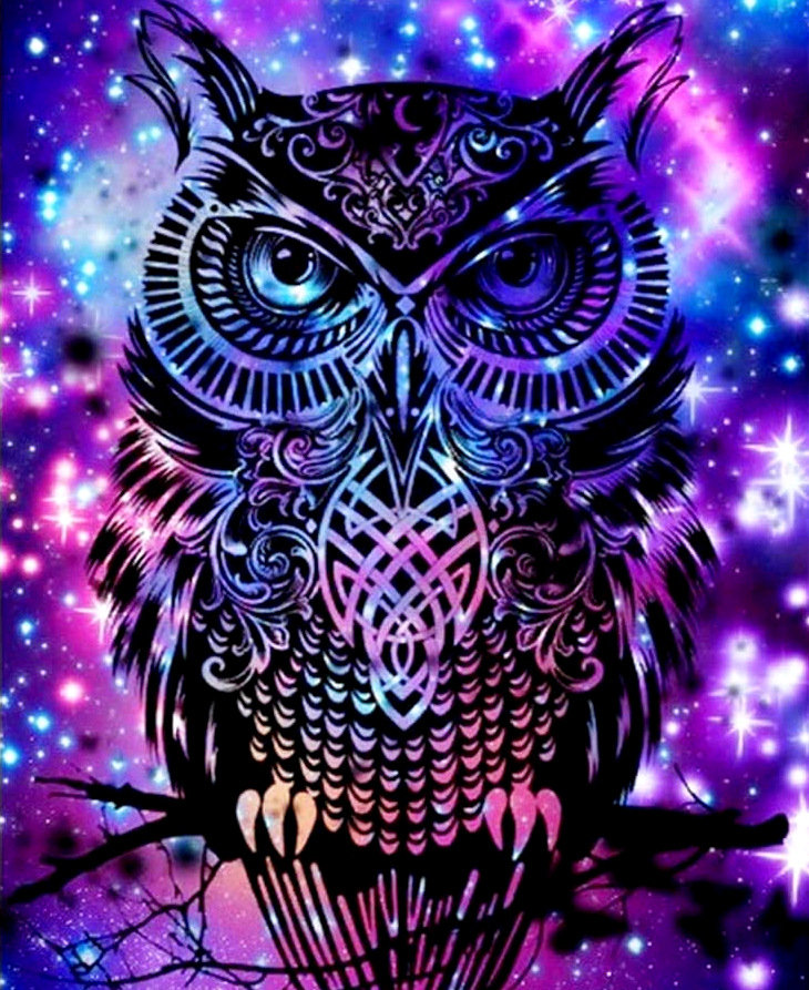 Haft Diamentowy Diamond Painting Mozaika Diamentowa Dla Dzieci Zestaw 5D Sowa Sówka