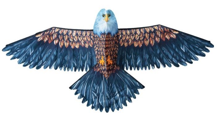 Realistyczny Latawiec Orzeł XXL 186cm dla Dzieci + Pokrowiec