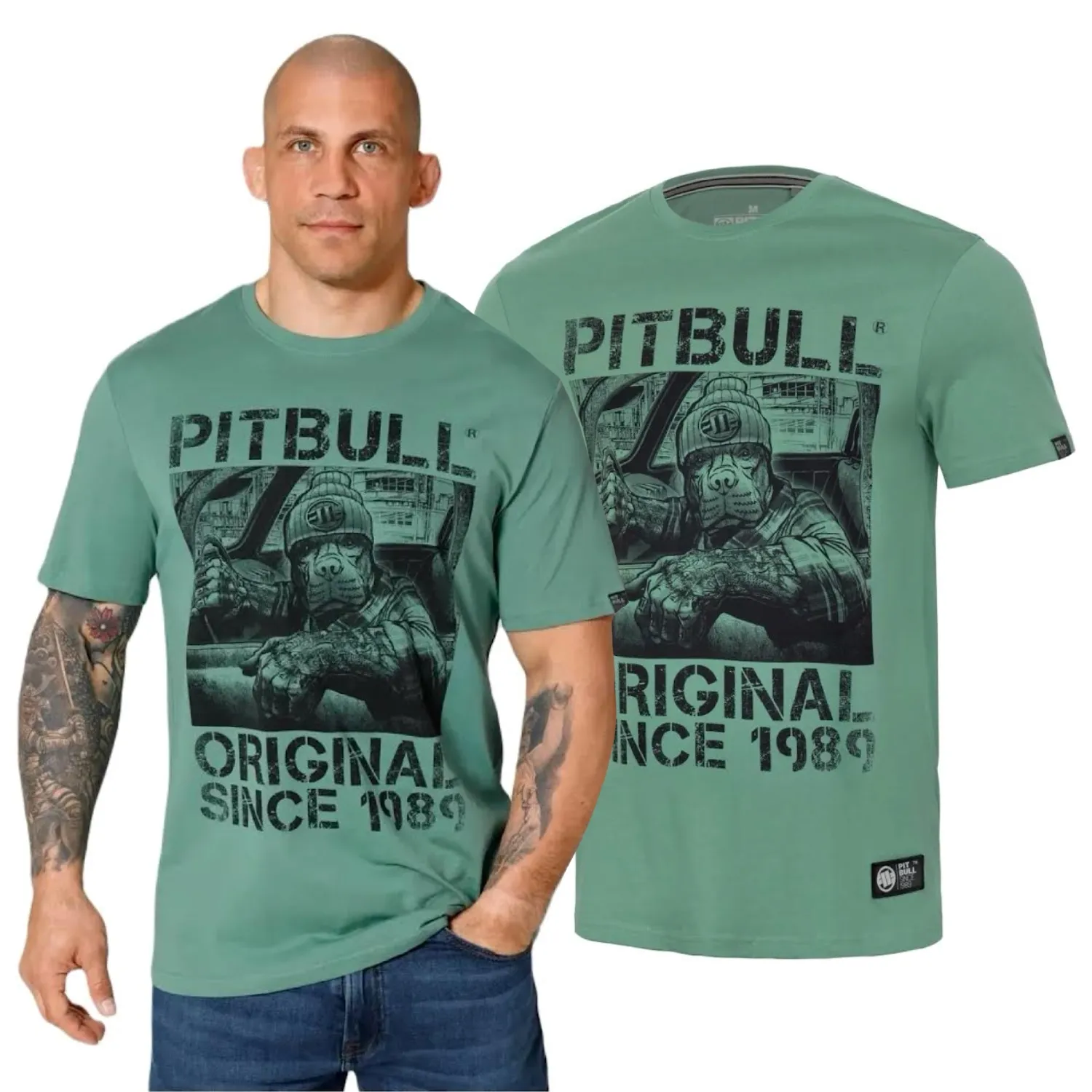 Koszulka PITBULL Middle Weight 170 Basic Drive '25 - Miętowa  XXL