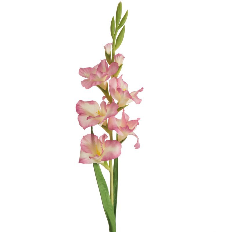 Kwiat dekoracyjny, EUROFIRANY, Natu