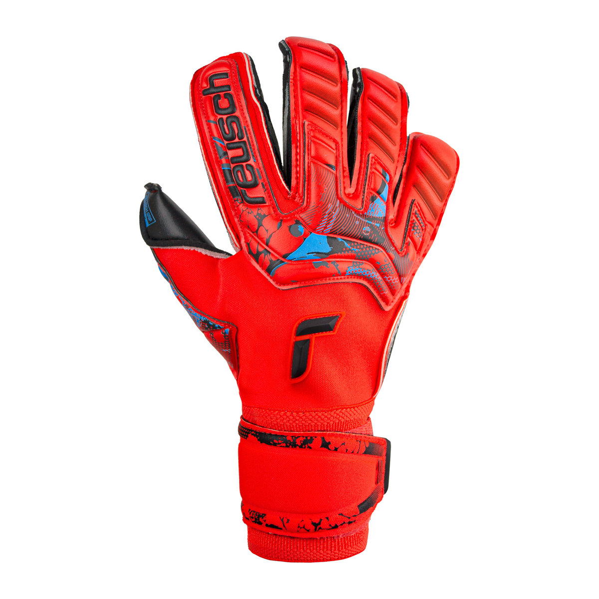 Rękawice bramkarskie Reusch Attrakt Gold X Evolution Cut