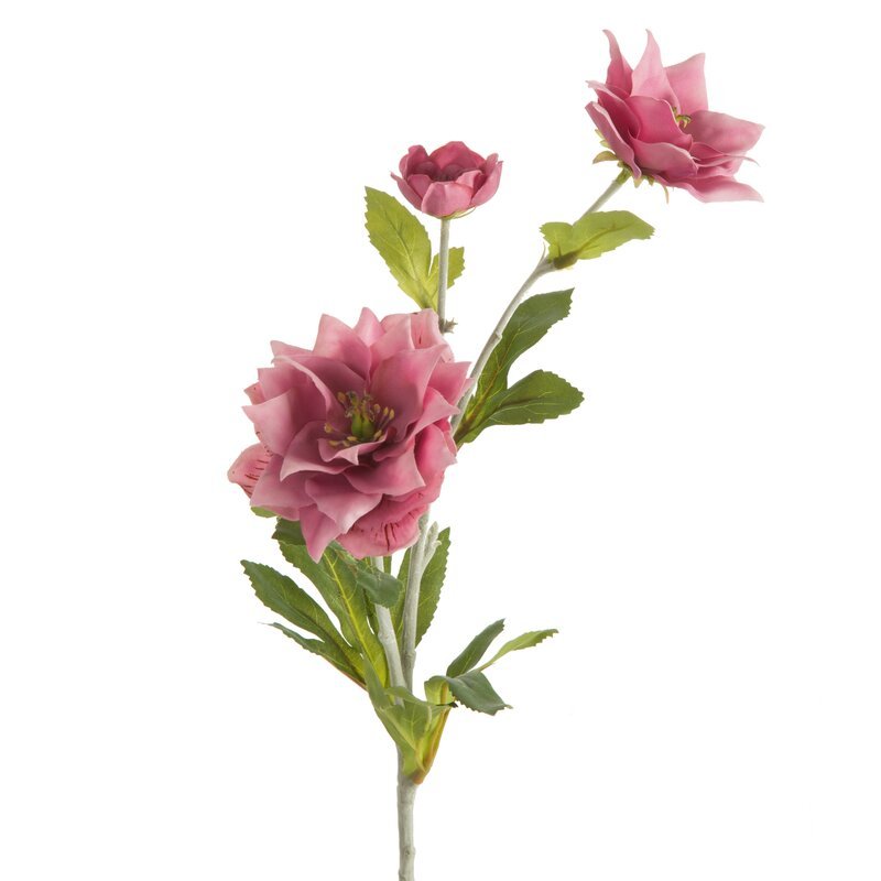 Kwiat dekoracyjny, EUROFIRANY, Natu, róż