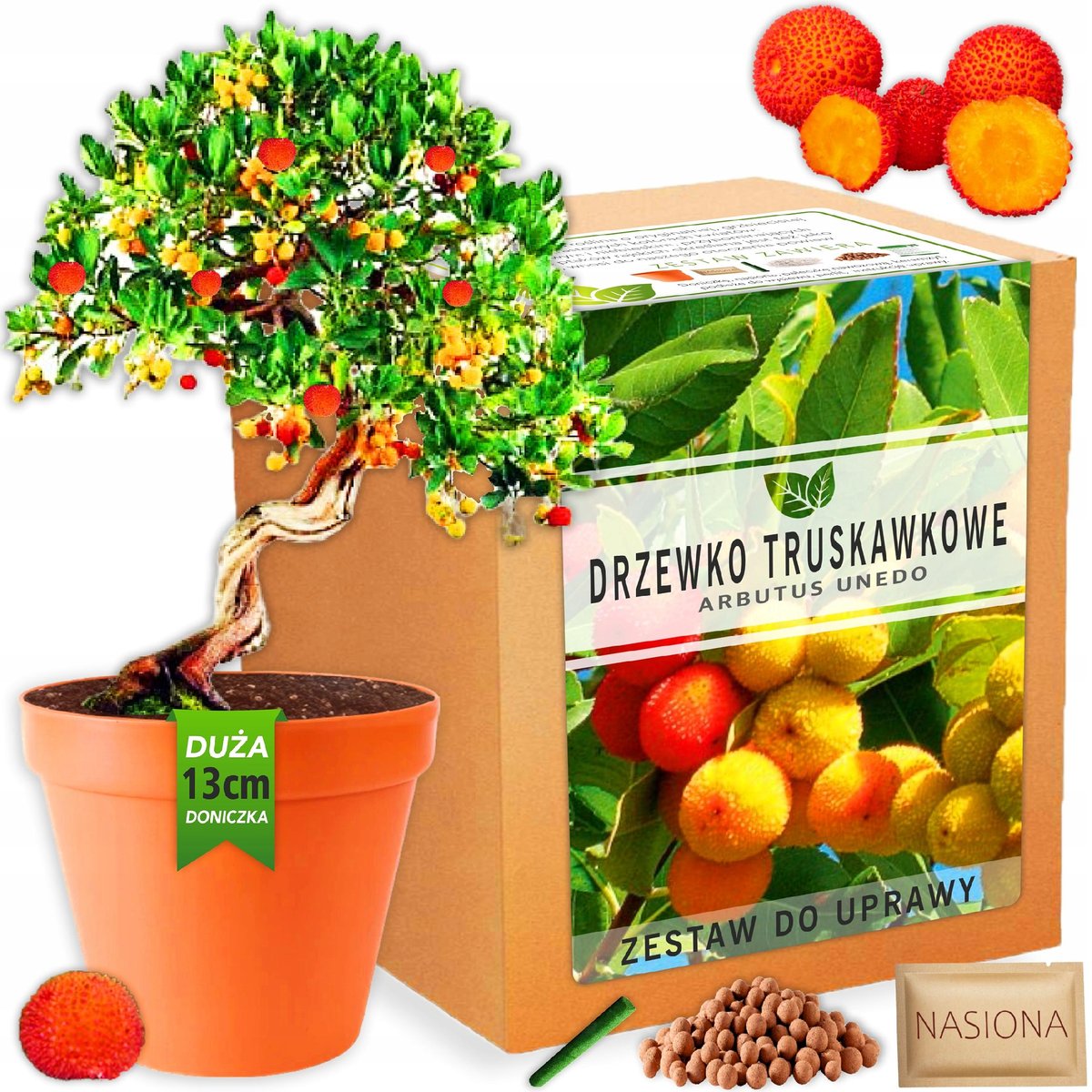 Zestaw do uprawy roślin Drzewko Truskawkowe nasiona bonsai