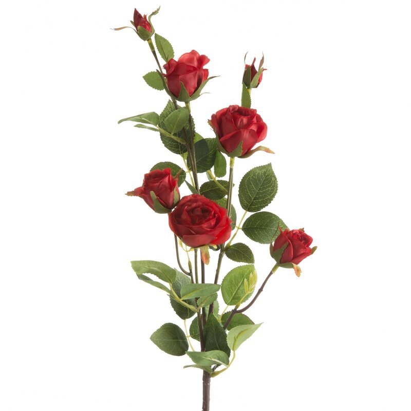 Eurofirany, Kwiat dekoracyjny, KW/NATU/429/CZER CZER