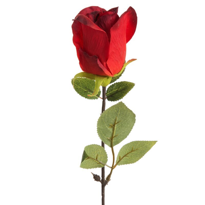 Eurofirany, Kwiat dekoracyjny, KW/NATU/430/CZER CZER