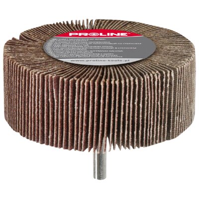 Ściernica listkowa PROLINE 44825 40 mm