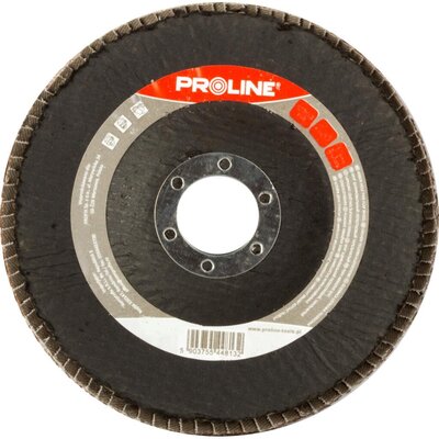 Proline ściernica LISTKOWA TALERZOWA ROZMIAR 115 mm 44801
