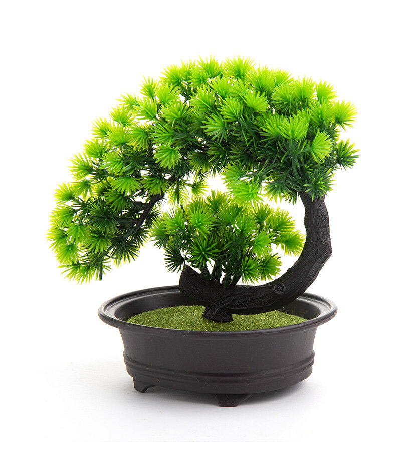 Bonsai Sztuczne Drzewko iglaste [uniw]