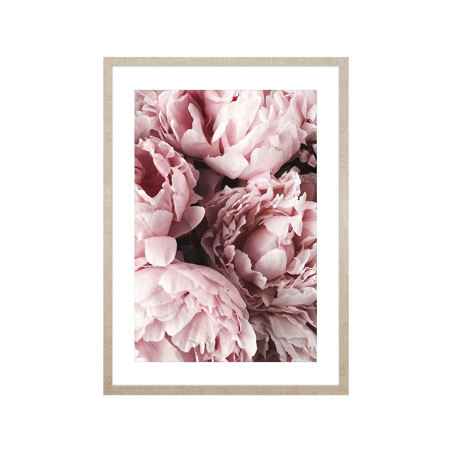 Obraz w ramie, 50 x 70 cm, peonie