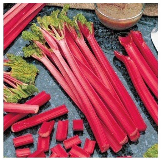 Nasiona Rabarbar Lider r.s. 1g - W.Legutko