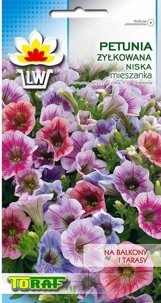 PETUNIA NISKA ŻYŁKOWANA (PETUNIA MULTIFLORA F2 HYBRIDS) MIX NASIONA 0,1 G