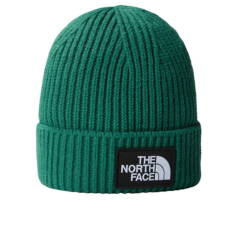 Czapka The North Face Logo Box Beanie 0A3FJXNL11 - zielona