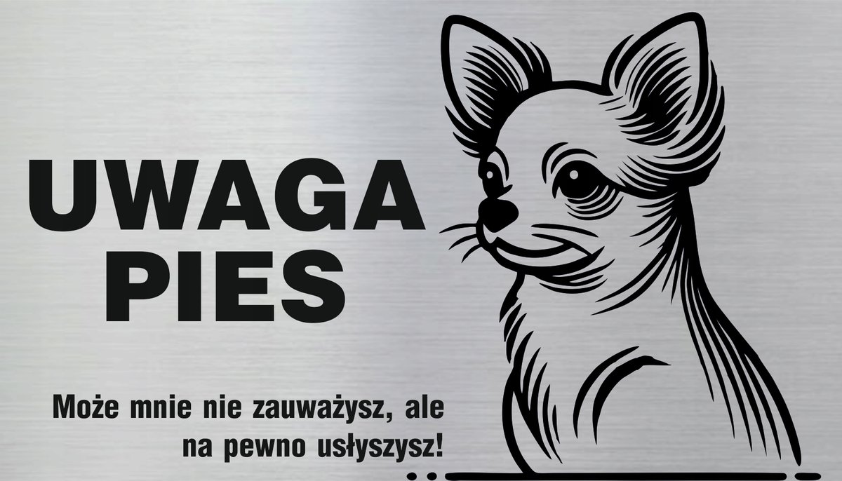 Tabliczka informacyjna, tabliczka na drzwi, UWAGA PIES, Chihuahua, 8x14cm