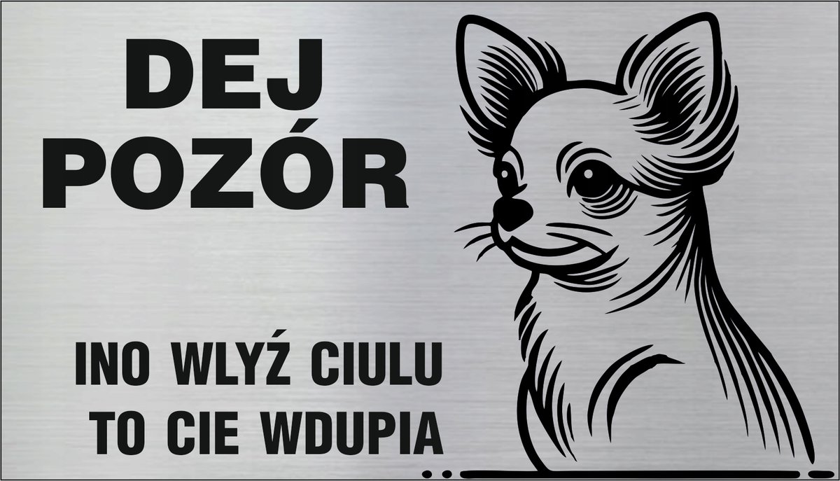 Tabliczka informacyjna, na drzwi, DEJ POZÓR, po ŚLĄSKU, Chihuahua, 8x14cm
