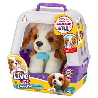 Little Live Pets - Piesek z transporterkiem Cobi