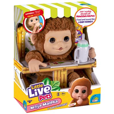 Little Live Pets - Moja małpka Mango