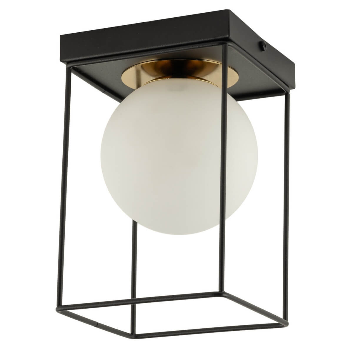 Loftowy plafon Aroma 40710 Sigma bańka cage klatka metalowa czarna złota