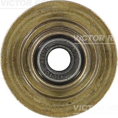 REINZ Uszczelniacz, trzonek zaworu 70-35547-00