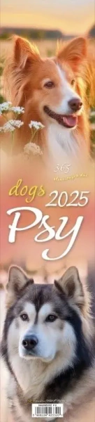 Kalendarz 2025 paskowy - Psy - Parma Press
