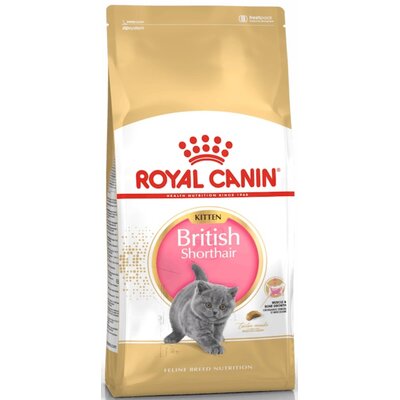 Royal Canin Kitten British Shorthair 10 kg