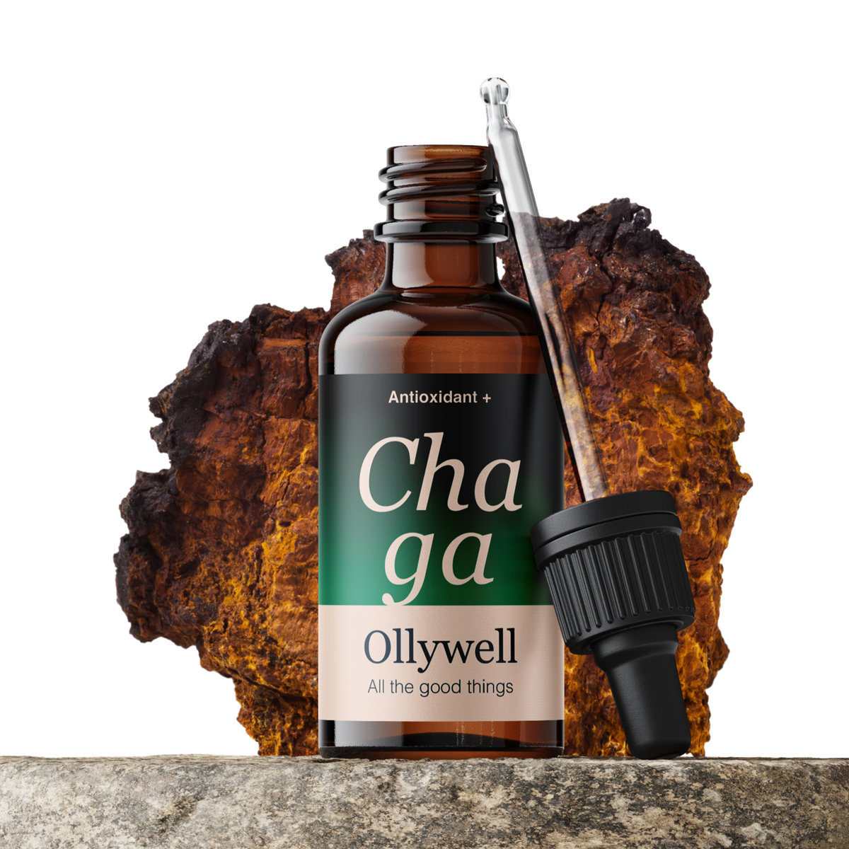 Ollywell Chaga (Błyskoporek podkorowy) Krople 30 ml