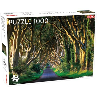 Puzzle Dark Hedges in Northern Ireland 1000