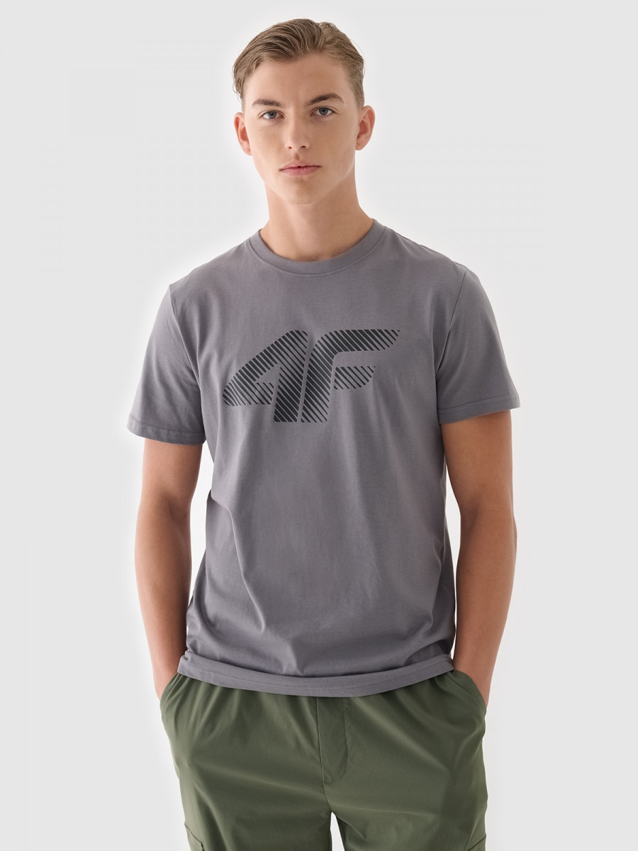 Męski t-shirt z nadrukiem 4F 4FWMM00TTSHM2257 - szary