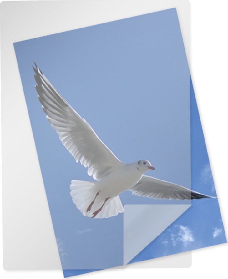 Art Folia do laminatora A4 80mic 100 szt.