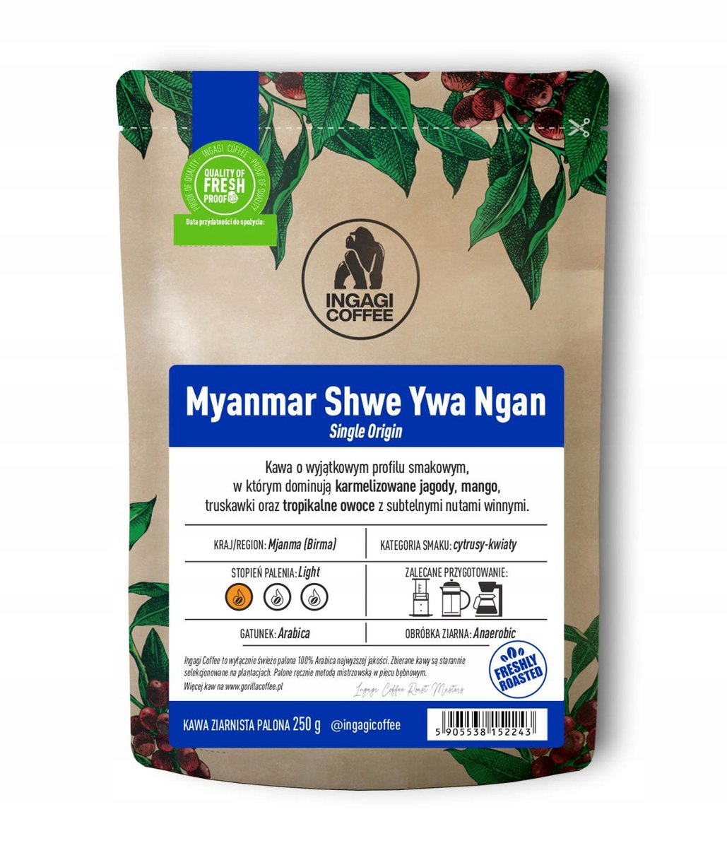 Kawa ziarnista 250 g Myanmar - Birma arabica