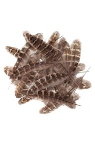 Pióra kacze 15-20cm 5g