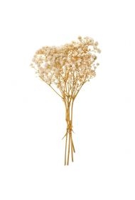 Gipsówka 4 gałązki ok. 20cm natural