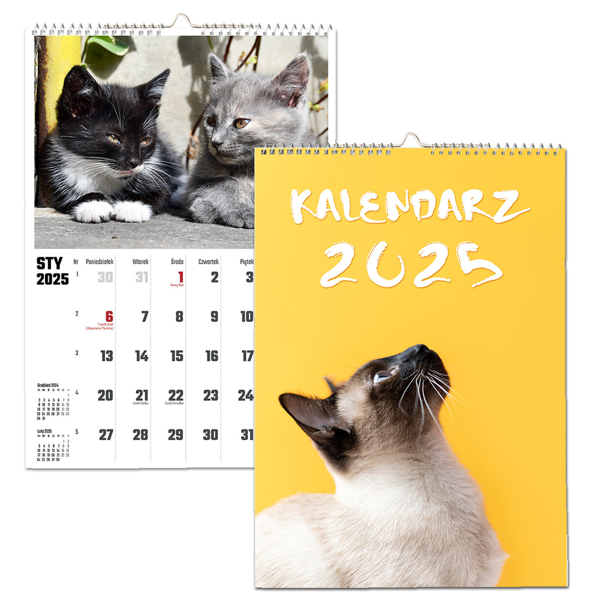 KALENDARZ ŚCIENNY 2025 A4 KOTY KOT TERMINARZ PREZENT UPOMINEK URODZINY