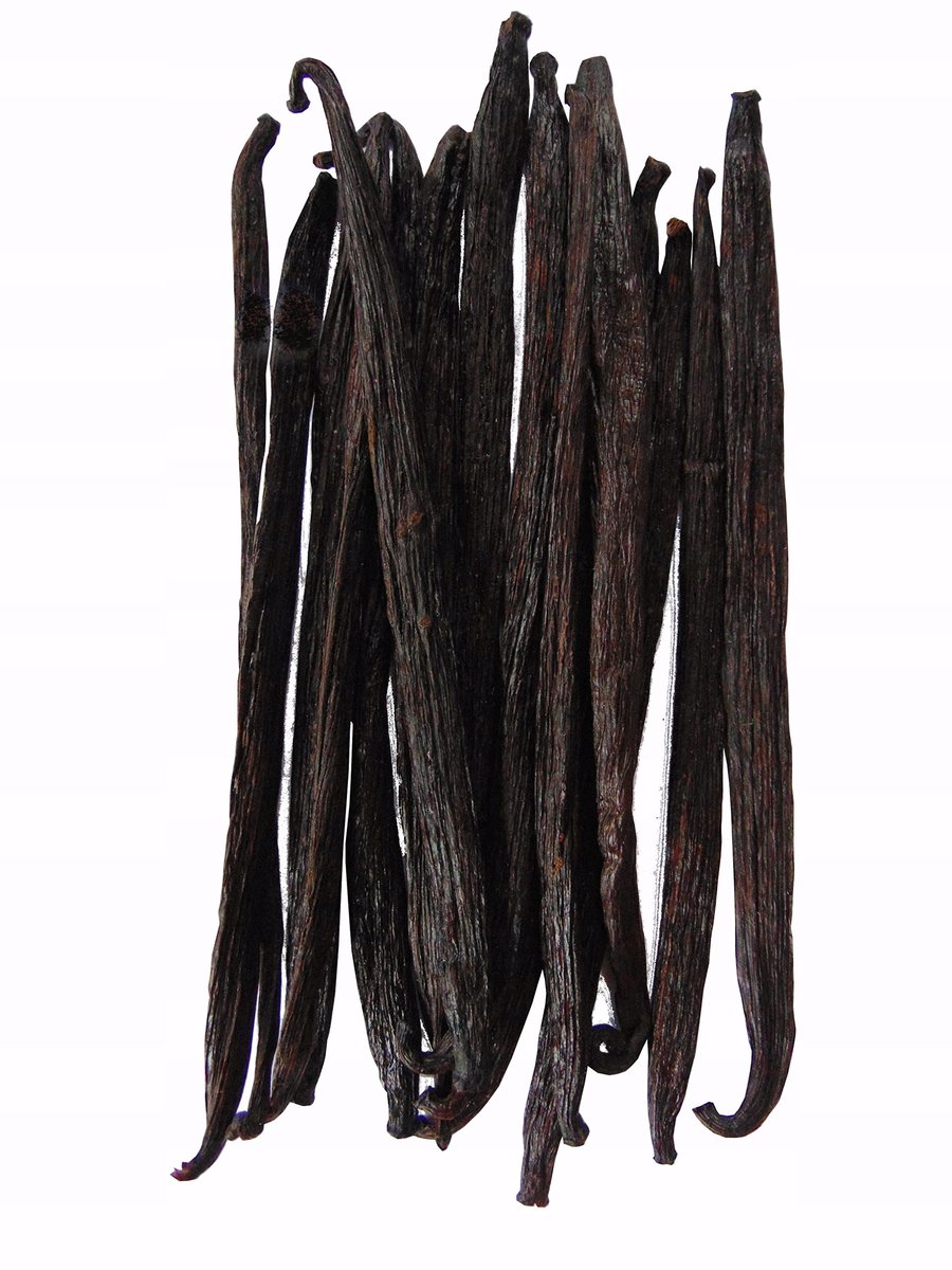 WANILIA LASKI 16 SZT 12-14cm Laska Wanilii GRUBE