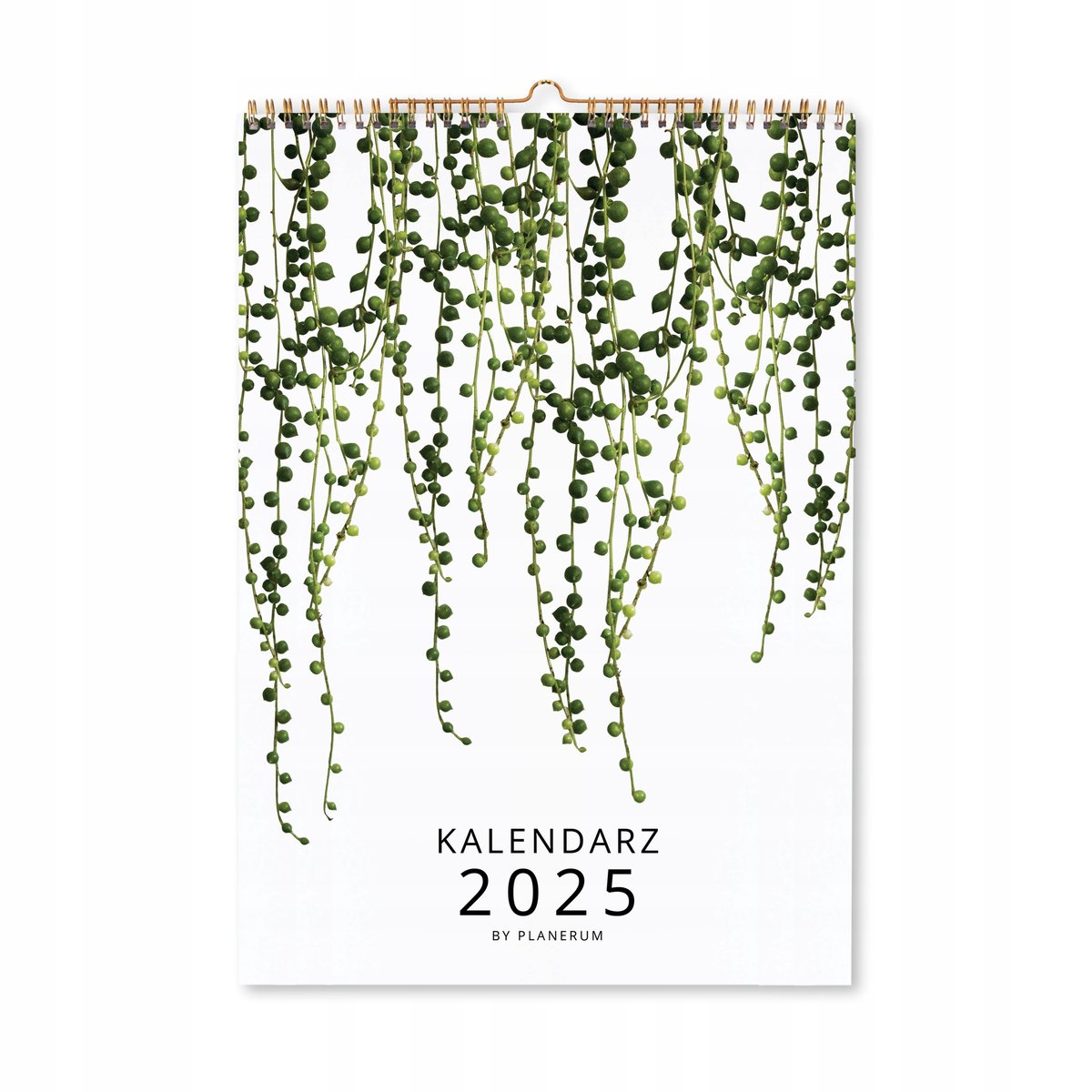 Botaniczny kalendarz ścienny na spirali 2025 A4