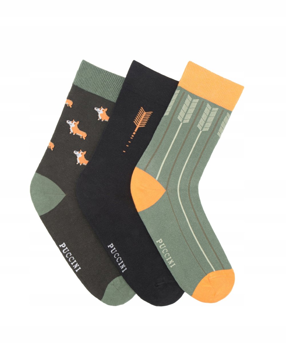Skarpety Męskie Skarpetki Bawełniane 3 pary 39-42 PUCCINI SKS22334-3942